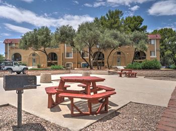 Picnic areas with bbq grills